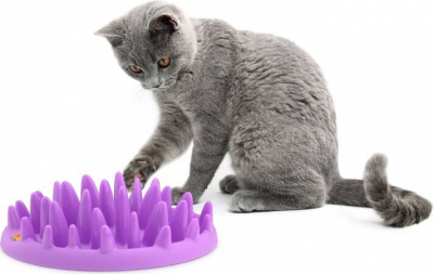 Distributeur Interactif De Nourriture Pour Chat Northmate Catch