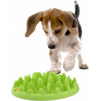 Dispensador de comida para perros pequeños - NORTHMATE GREEN MINI