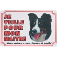 Cartel perro Border Collie "Yo cuido de mi dueño"