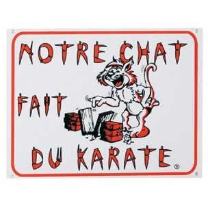 Cartel diseño gato 'Nuestro gato hace karate'