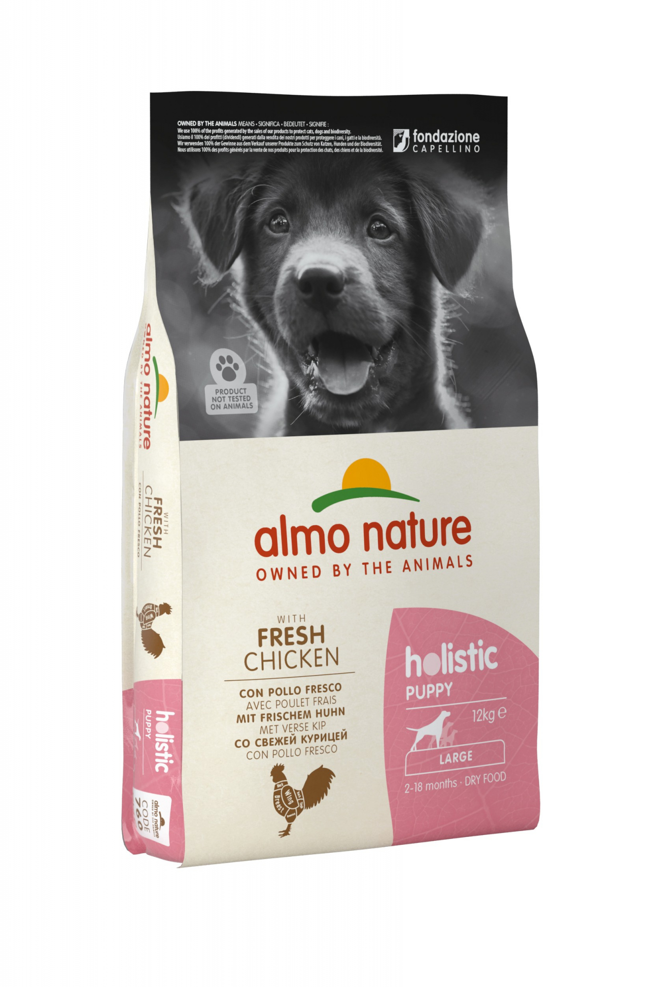 Almo Nature Holistic Large Puppy