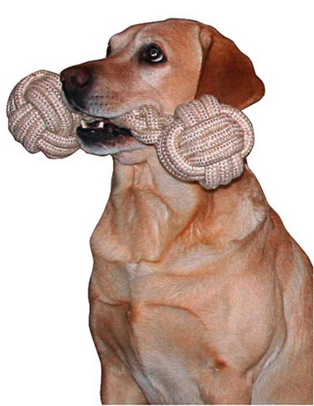 Brinquedo em forma de halteres feito de corda para cães