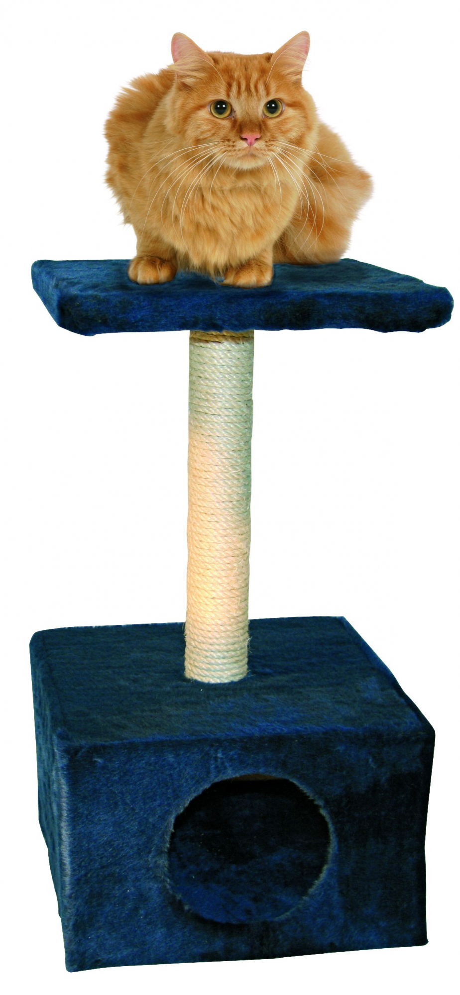 Rascador para gatos - 57 cm - Amethyst