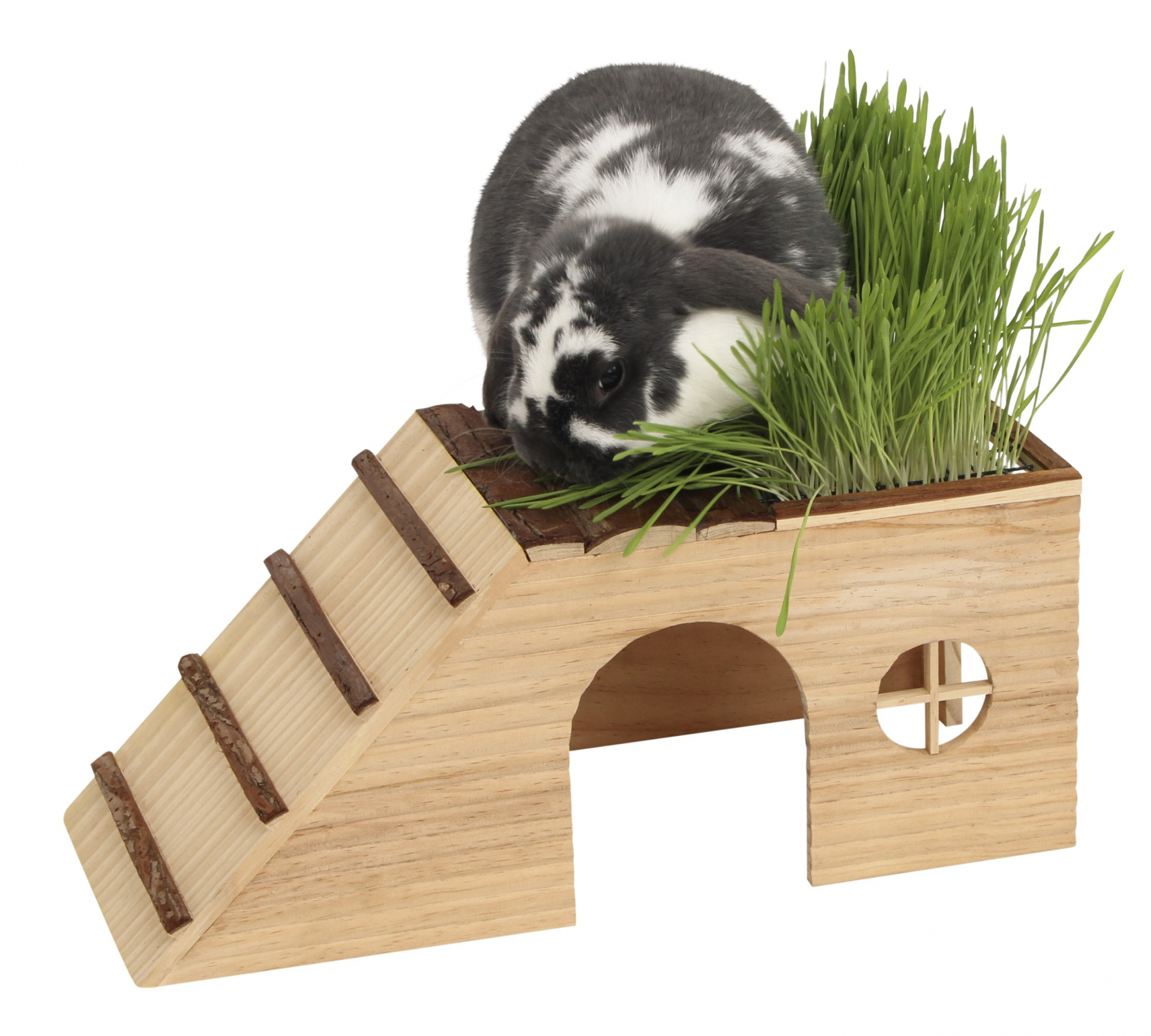 Refugio para roedores con rampa y hierba 