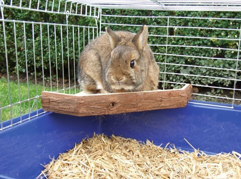 Holzterrasse für Kaninchen