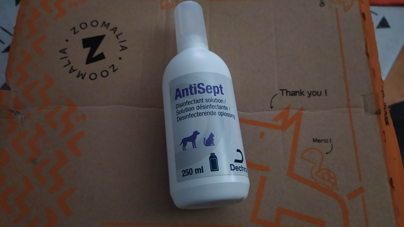 Antisept spray antiseptique pour plaie chien ou chat - JungleVet