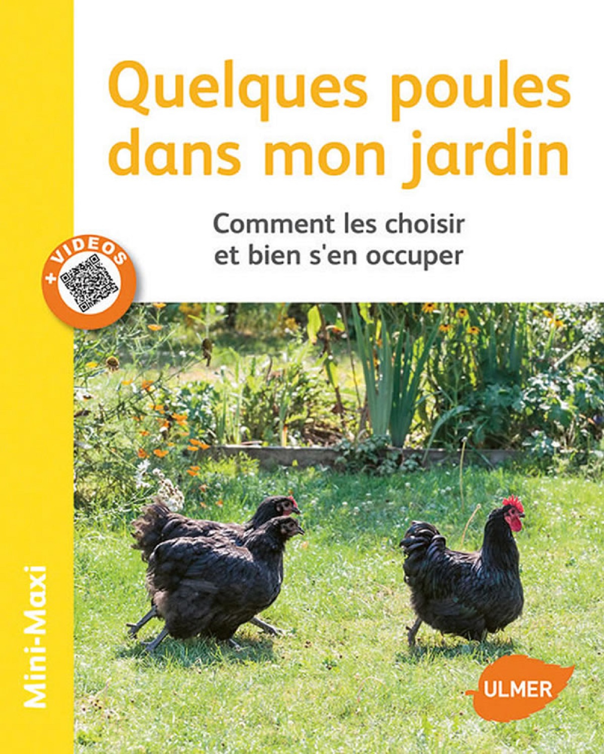 Unas gallinas en mi jardín: elegirlas bien y cuidarlas Editorial Ulmer