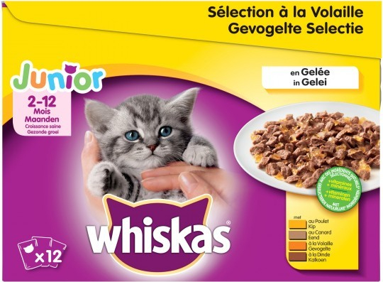 terrorist De Alpen Toelating Pack van 12 WHISKAS Junior Selection in gelei, voor kittens - 4 smaken
