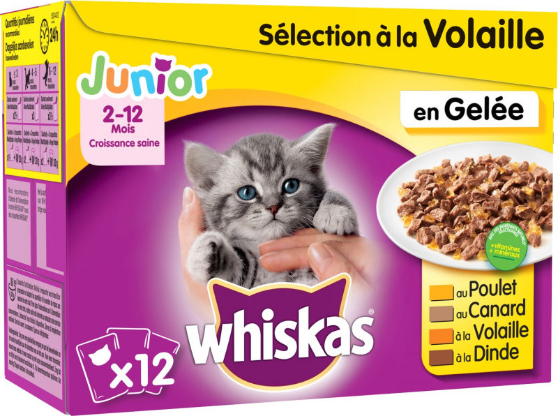 Pack de 12 Patês WHISKAS Junior Seleção de Carnes e Peixes em geleia para Gatinhos - 4 sabores