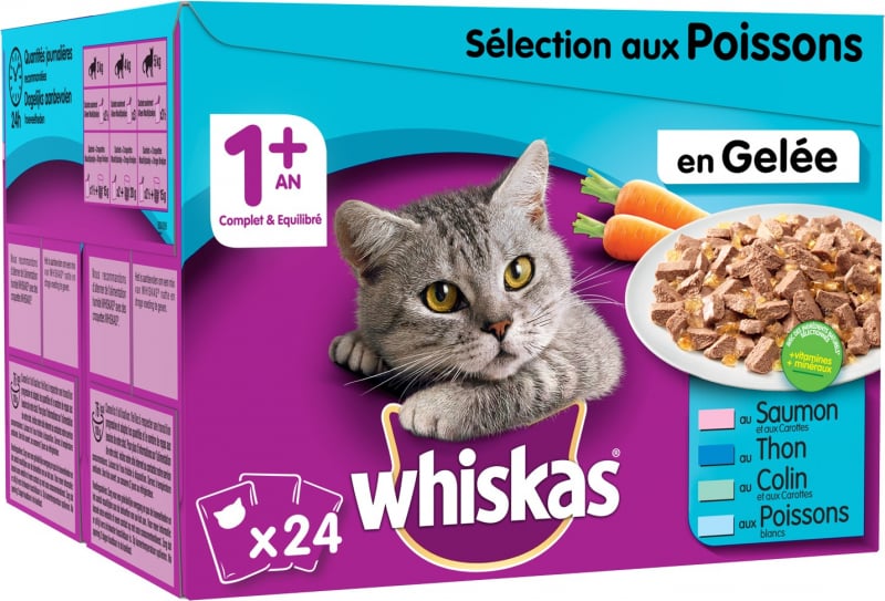 Pack de Pâtées WHISKAS 1+ Sélection de Poisson en gelée pour chat adulte - 4 saveurs