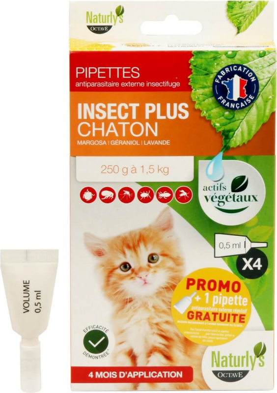 Pipettes antiparasitaire insecticides chaton