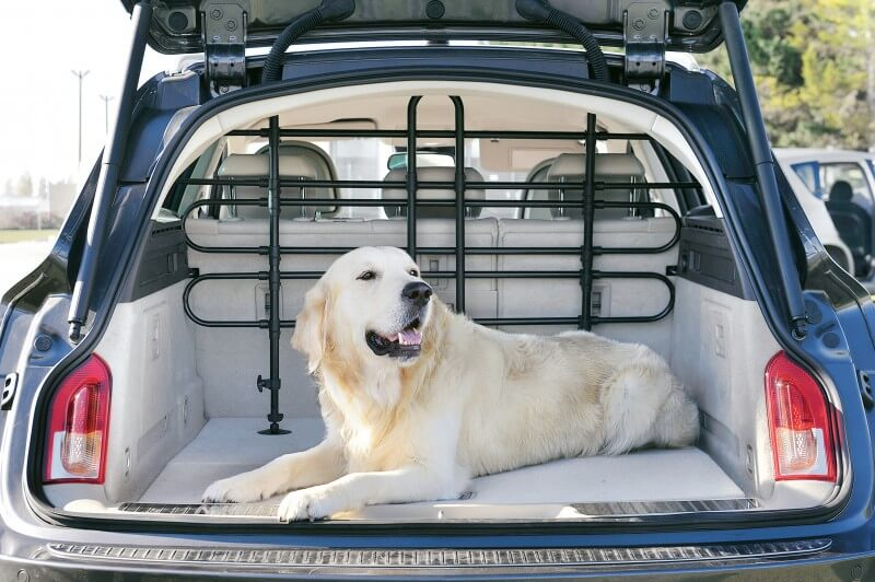 Grelha de segurança para o transporte do cão em carro universal