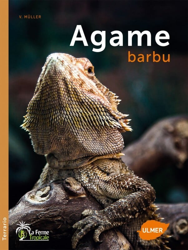 Livre guide complet que l'Agame barbu (dragon barbu)