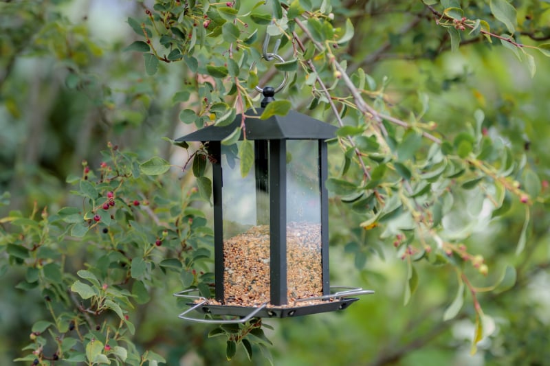 Distributeur de graines oiseaux du ciel style lanterne