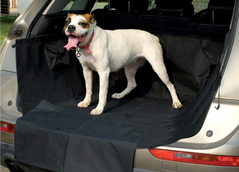 Kofferaumschutzdecke für Hunde