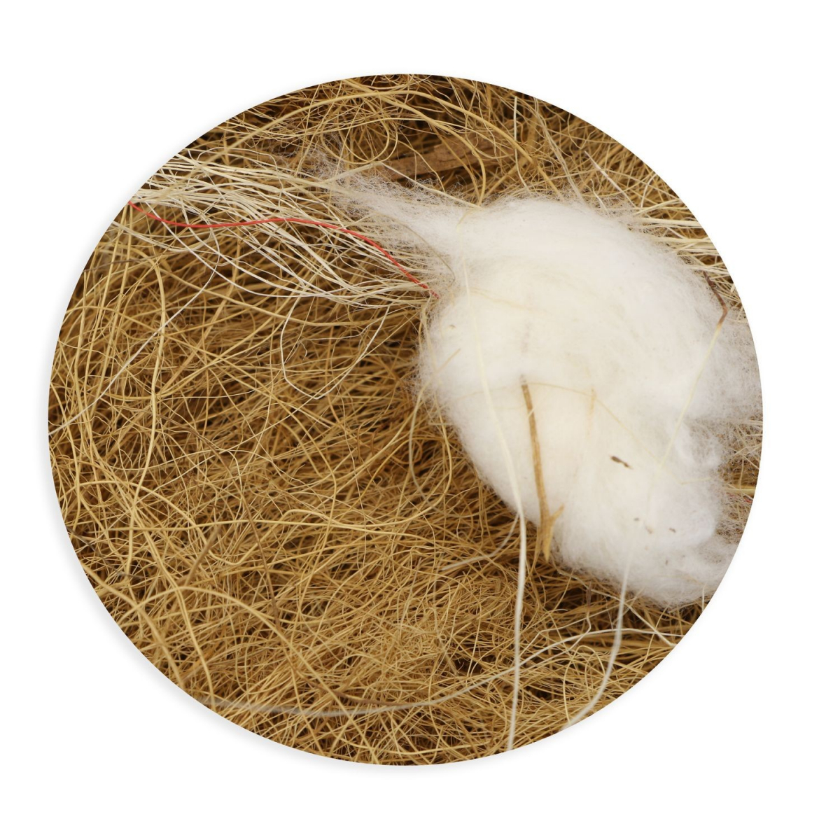 Nid pour oiseaux en fibres de coton coloris blanc Tyrol – 50 g