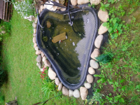 22327_Pompe-Superfish-Pond-Flow-Eco-pour-bassin_de_Emilie_20867478575ead0d81c465c6.02190670