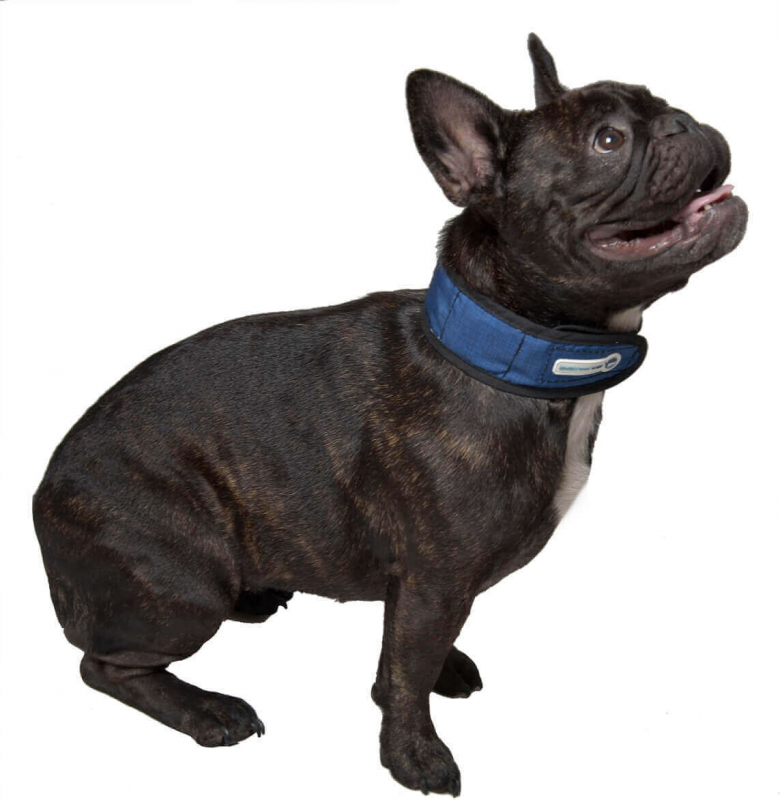 Collare rinfrescante blu - Cooling Collar Pacific Blue