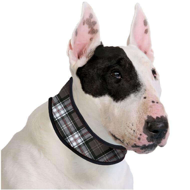 Collar refrescante para perro - Cooling Collar Scottish Grey