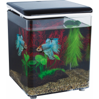 Mini aquarium acrylique HOME 8 SuperFish