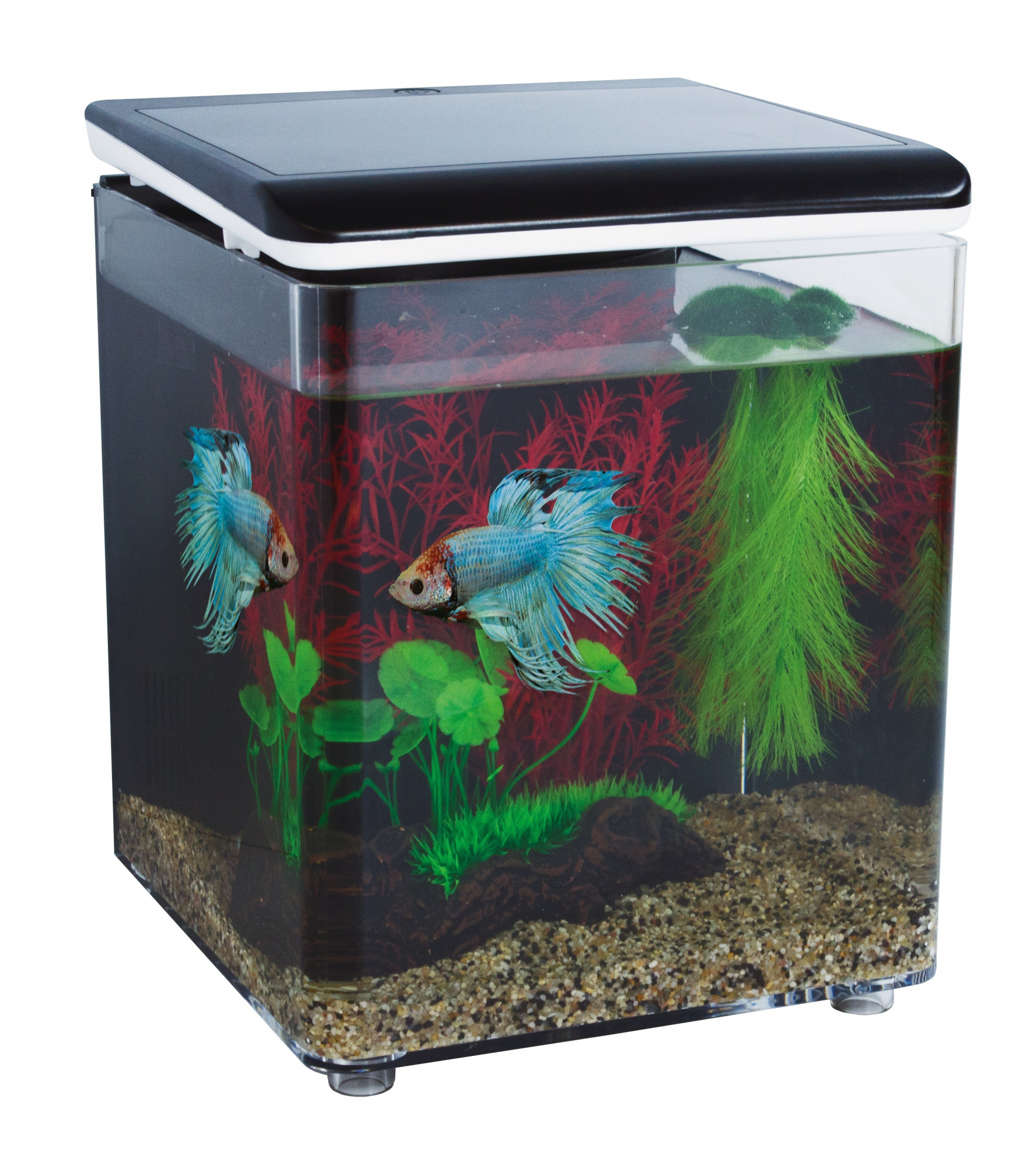 Mini aquário acrilico HOME 8 SuperFish