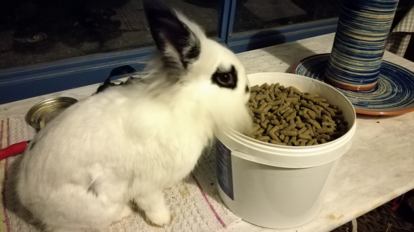 Selective Adult 4 Rabbit Lapin - Sac de 10 kg