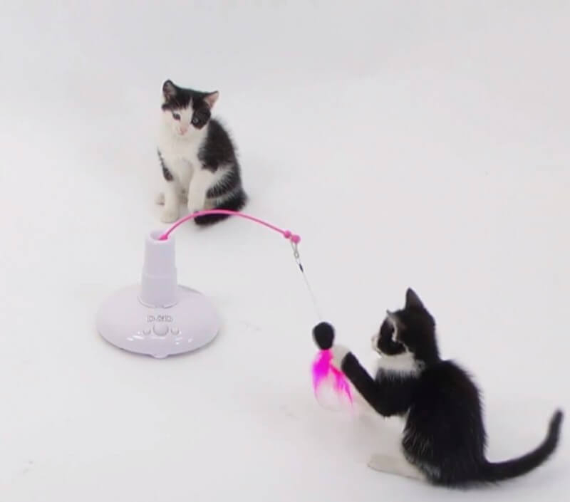 360 ° eletrônico que move os gatos do rato brinca o gato automático  interativo que brinca