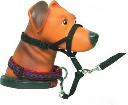 Halti Harness For Sale Online Ebay