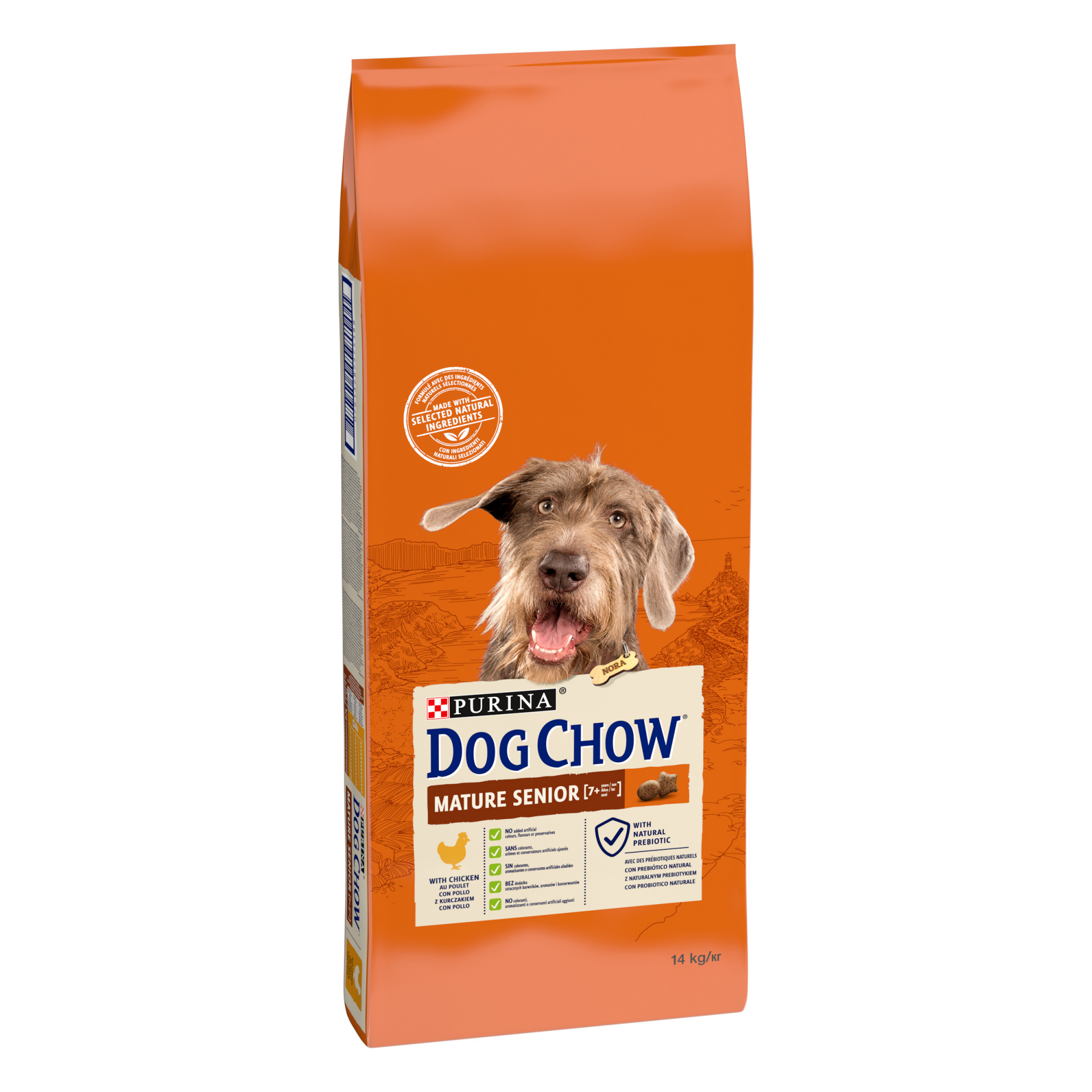 DOG CHOW para cão Adulto Idoso 5+ com frango