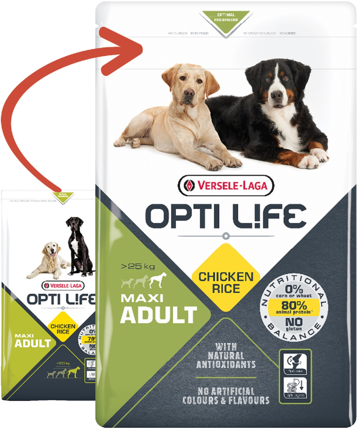 Opti Life Adult Maxi au poulet pour chien de grande taille
