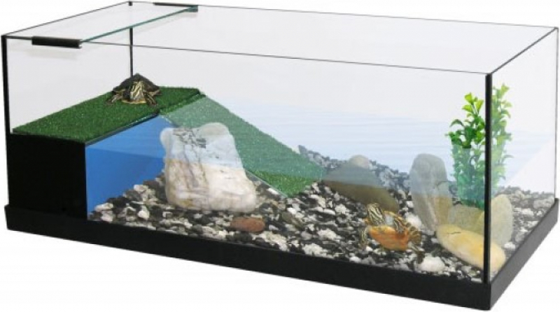 Aquaterrarium Set CAPAC