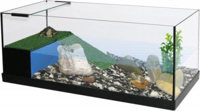 Aquaterrarium en set CAPAC