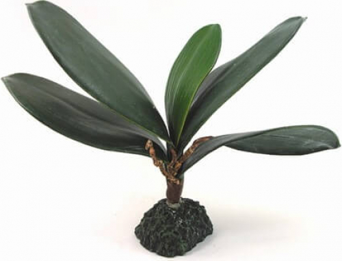 Plante style ficus 21cm