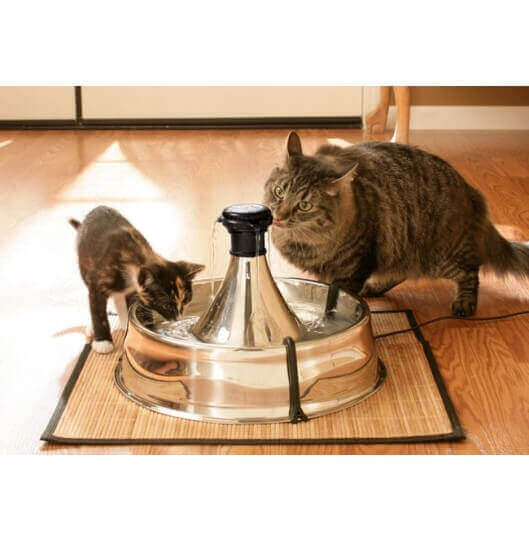 Drinkwell Inox 360°- 3,8L - Fontaine pour chien et chat