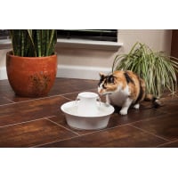Drinkwell Avalon - 2L - Fontaine en céramique pour chien et chat
