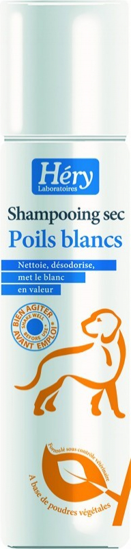 Shampooing sec poil blanc 