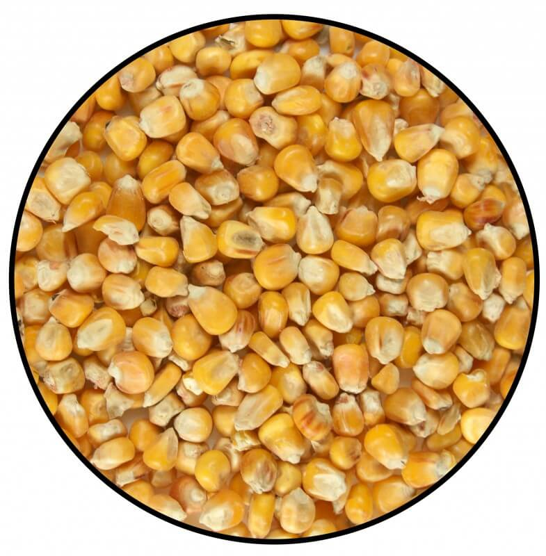 runder Mais
