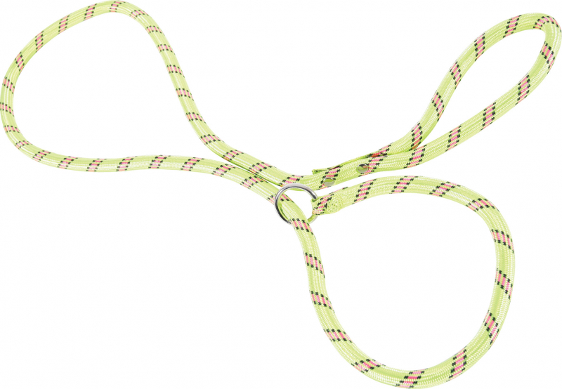 Laisse lasso corde nylon - Divers coloris 