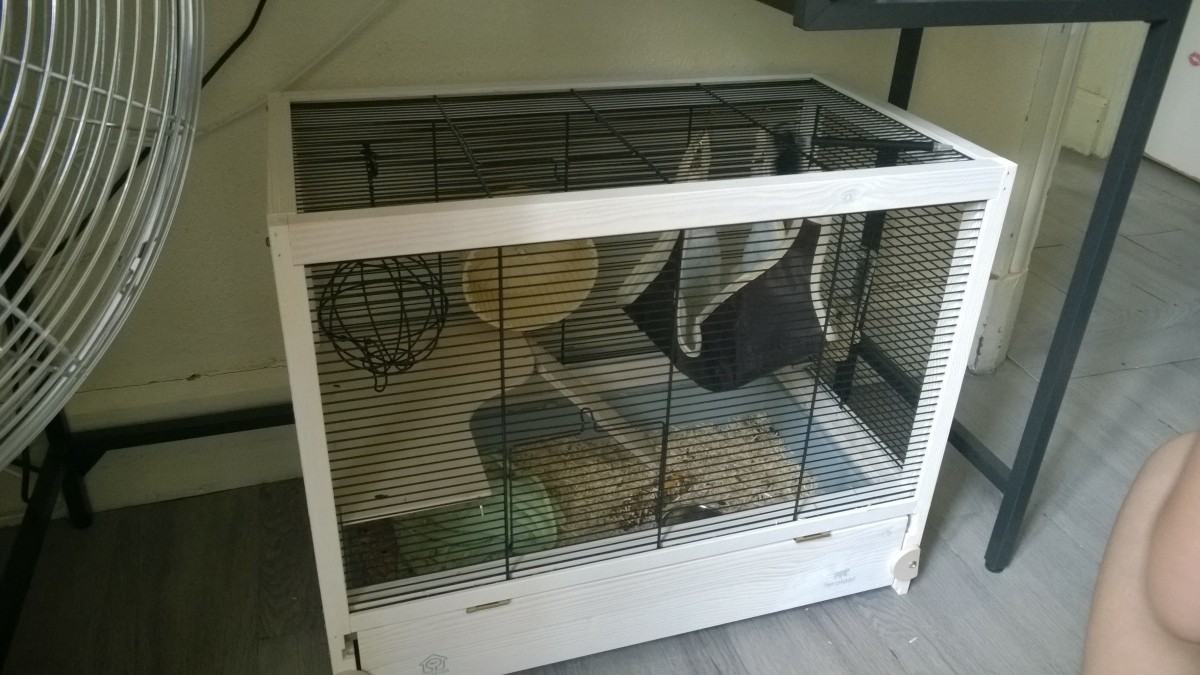 Reacties op Houten hamsterkooi Hamsterville