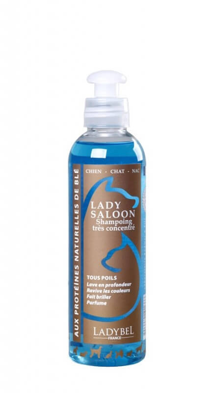 Shampoing LADY SALOON