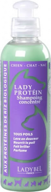 Shampooing LADY PROTEIN