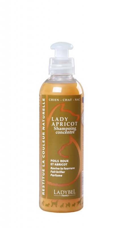 Shampoo LADY ABRICOT