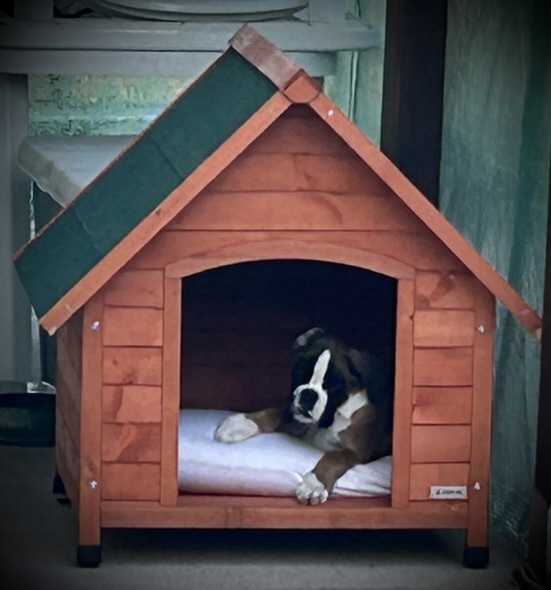 Recensioni su Cuccia per cani in legno tetto spiovente Zolia Akira