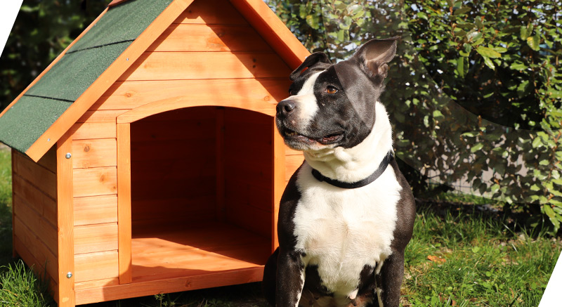 la caseta de madera para perros Akira es bonita y elegante