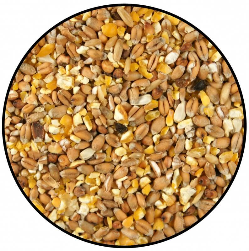 Mistura de sementes para Rôlas