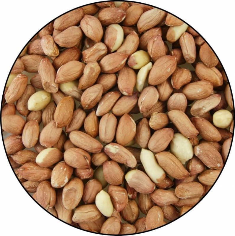 Amendoim descascado - alimentos para pássaros selvagens - Gasco