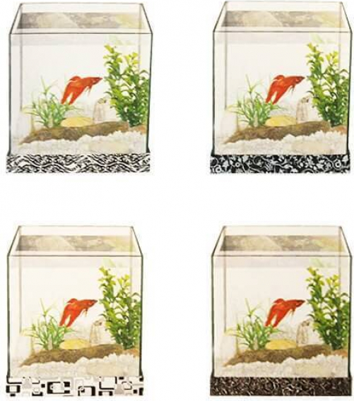 Aquarium Kit inklusive Kies und Pflanzen