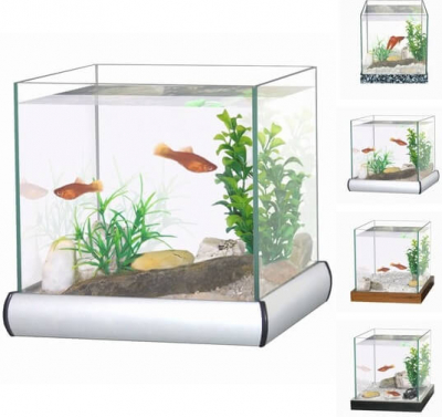 Kit aquarium avec gravier et plante 