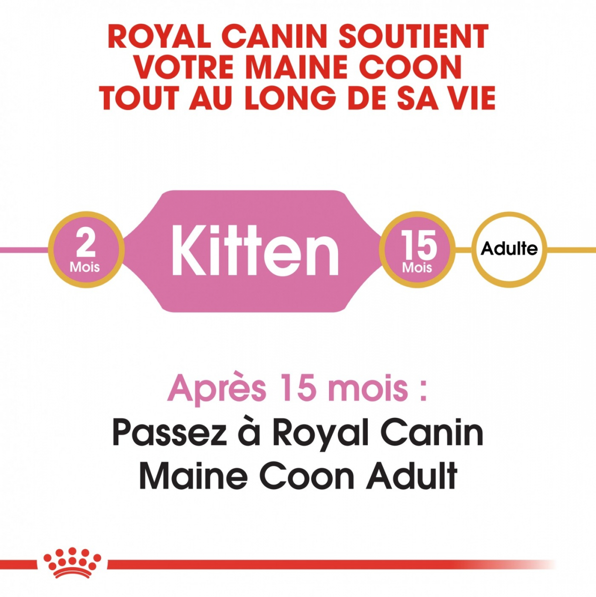 Royal Canin Breed Maine Coon Kitten