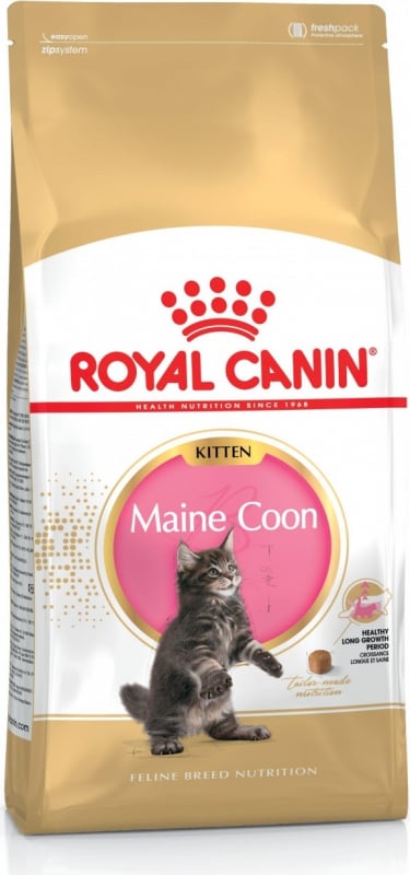 ROYAL CANIN MAINE COON Kitten 
